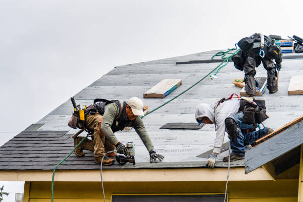 Professional Roofing technician working in Livermore, CO